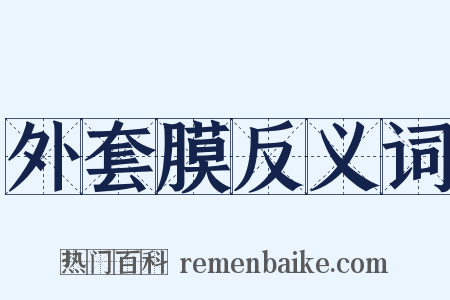 外套膜反义词是什么意思的图片